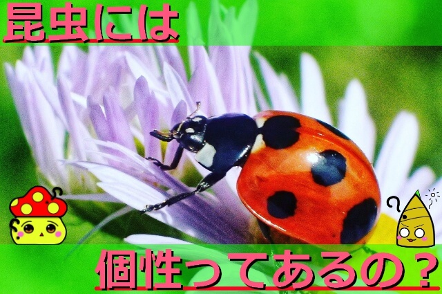 Thumbnail of post image 050